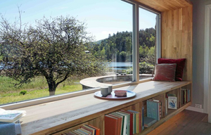 Biophilia and a closer look at our connection with nature