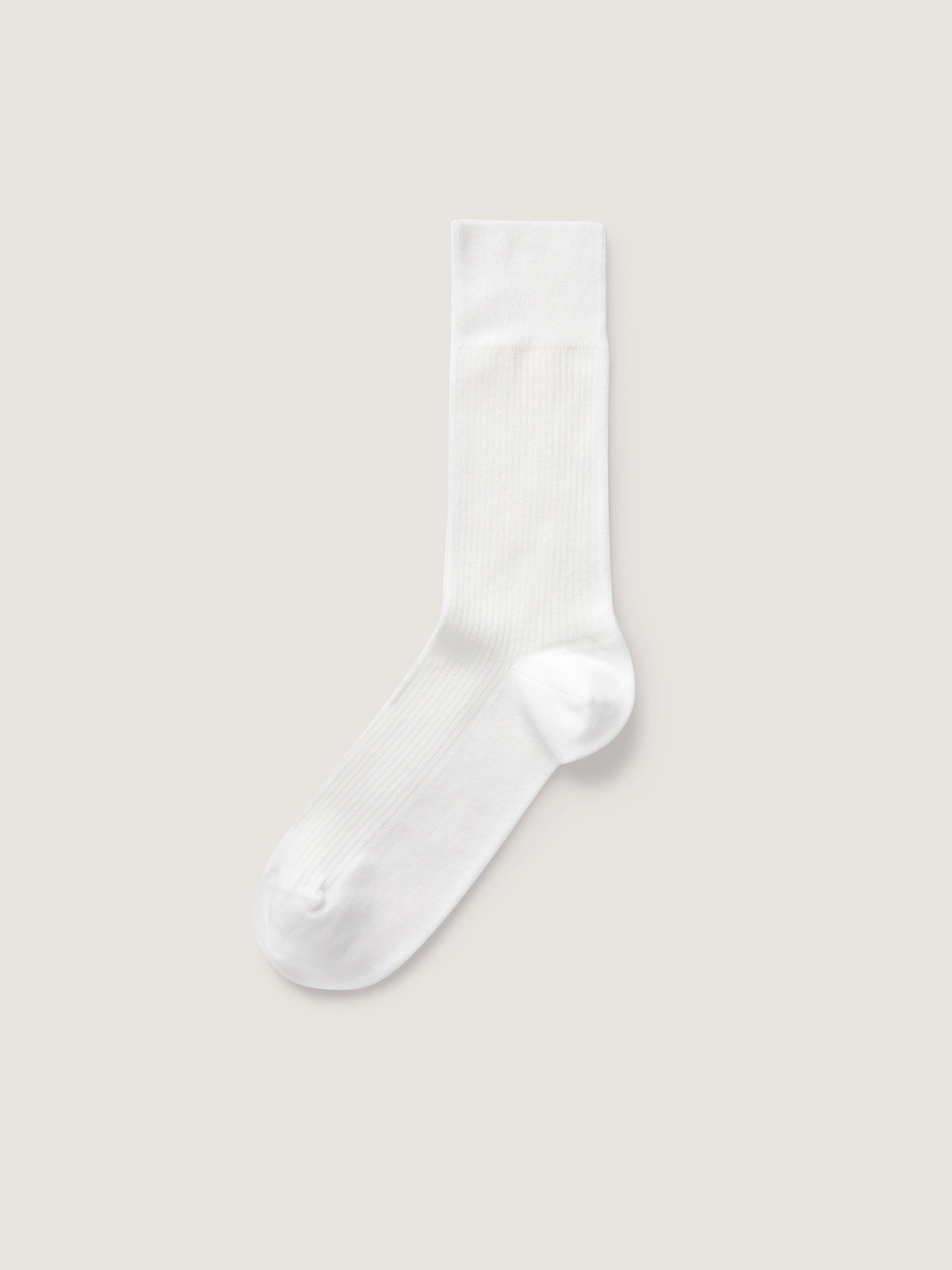 Haz un esfuerzo Determinar con precisión Peregrino white sock Lágrimas  Recomendado Deliberar