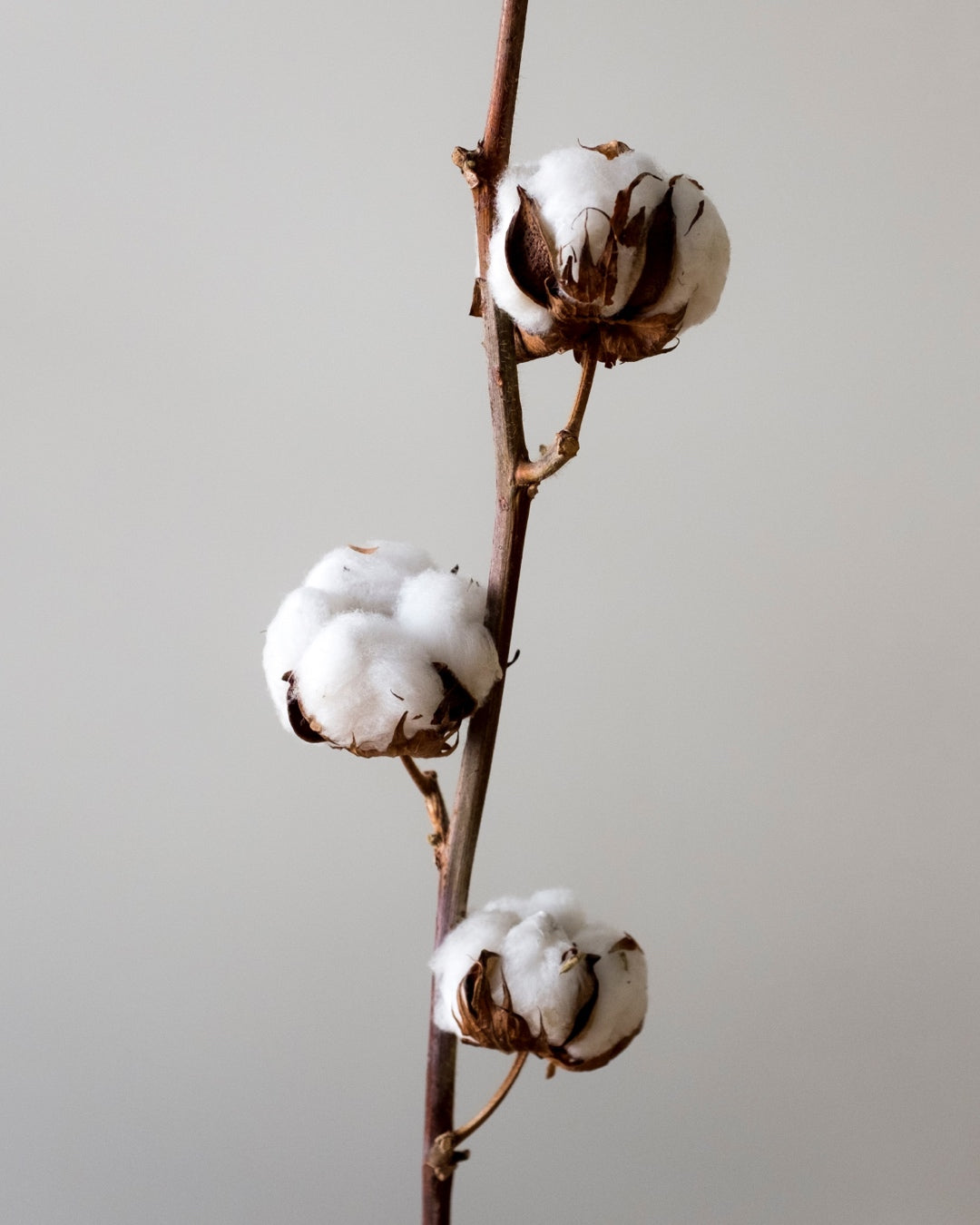 CONCEPT Tech 24 Overshirt || Navy | Nanilica™ Stretch Cotton