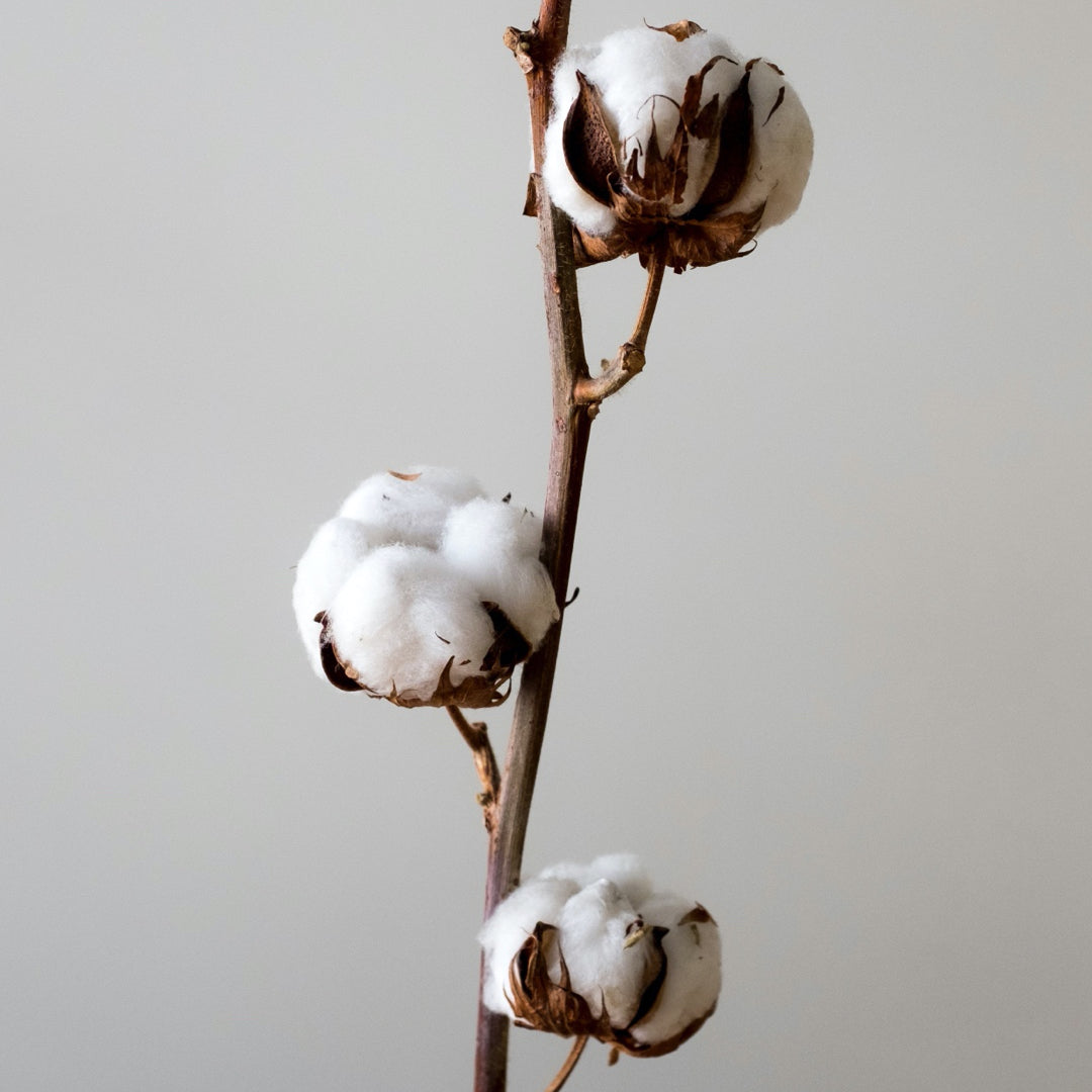 CONCEPT Tech 24 Overshirt || Slate-Grey | Nanilica™ Stretch Cotton